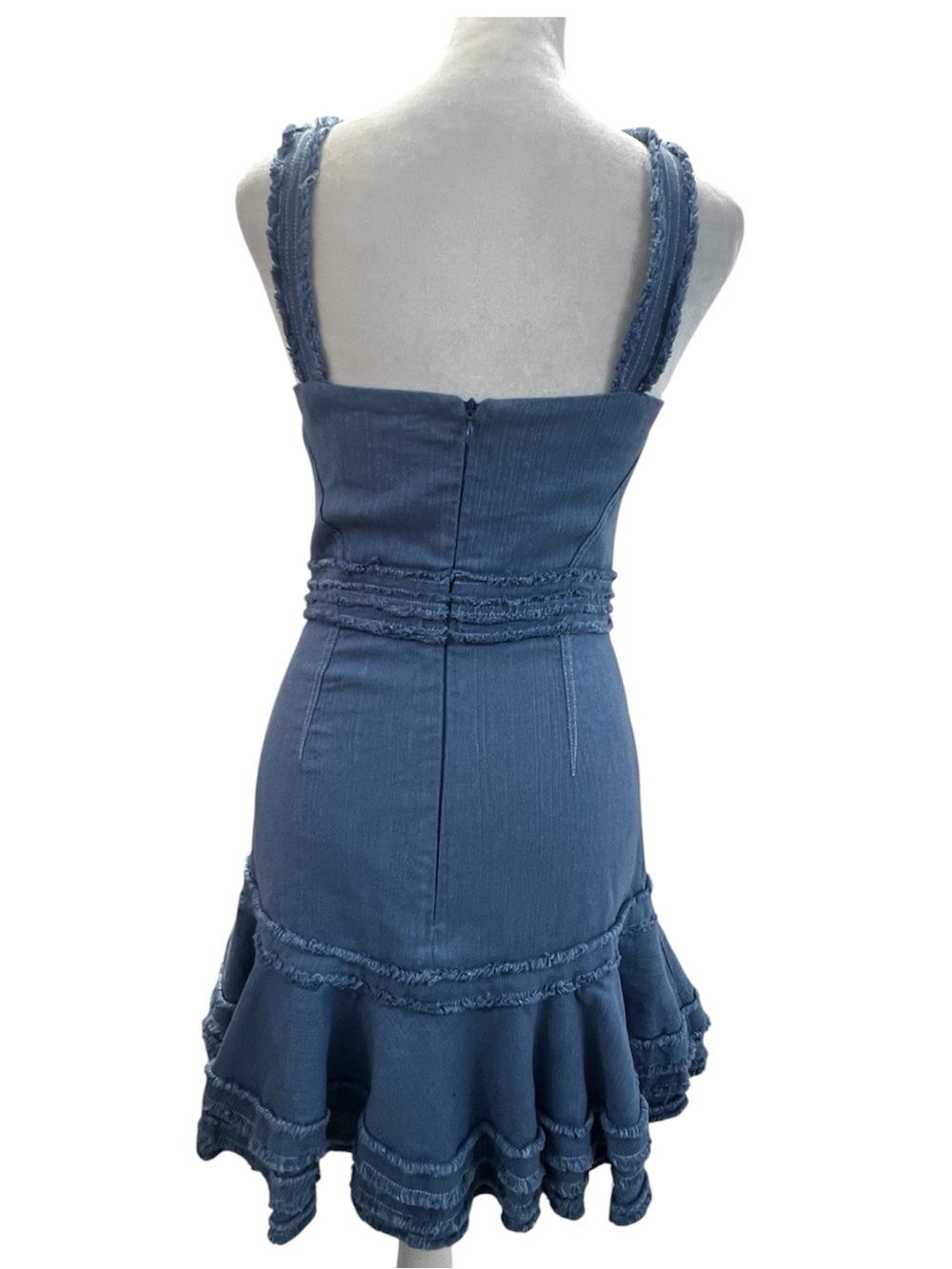 Alexis Judith Ruffled Mini Dress- Size Small - Picture 4 of 9